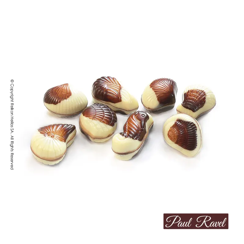 Φωτογραφία από Paul Ravel Mini Seashells (Όστρακα-Θαλασσινά) 